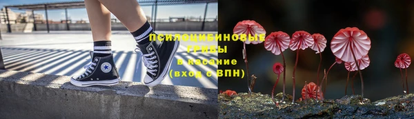 герыч Алексин