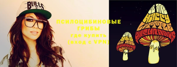герыч Алексин