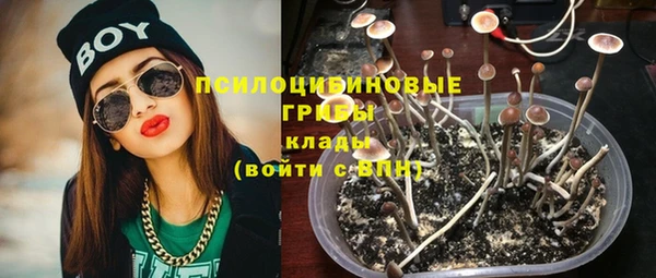 дживик Алзамай